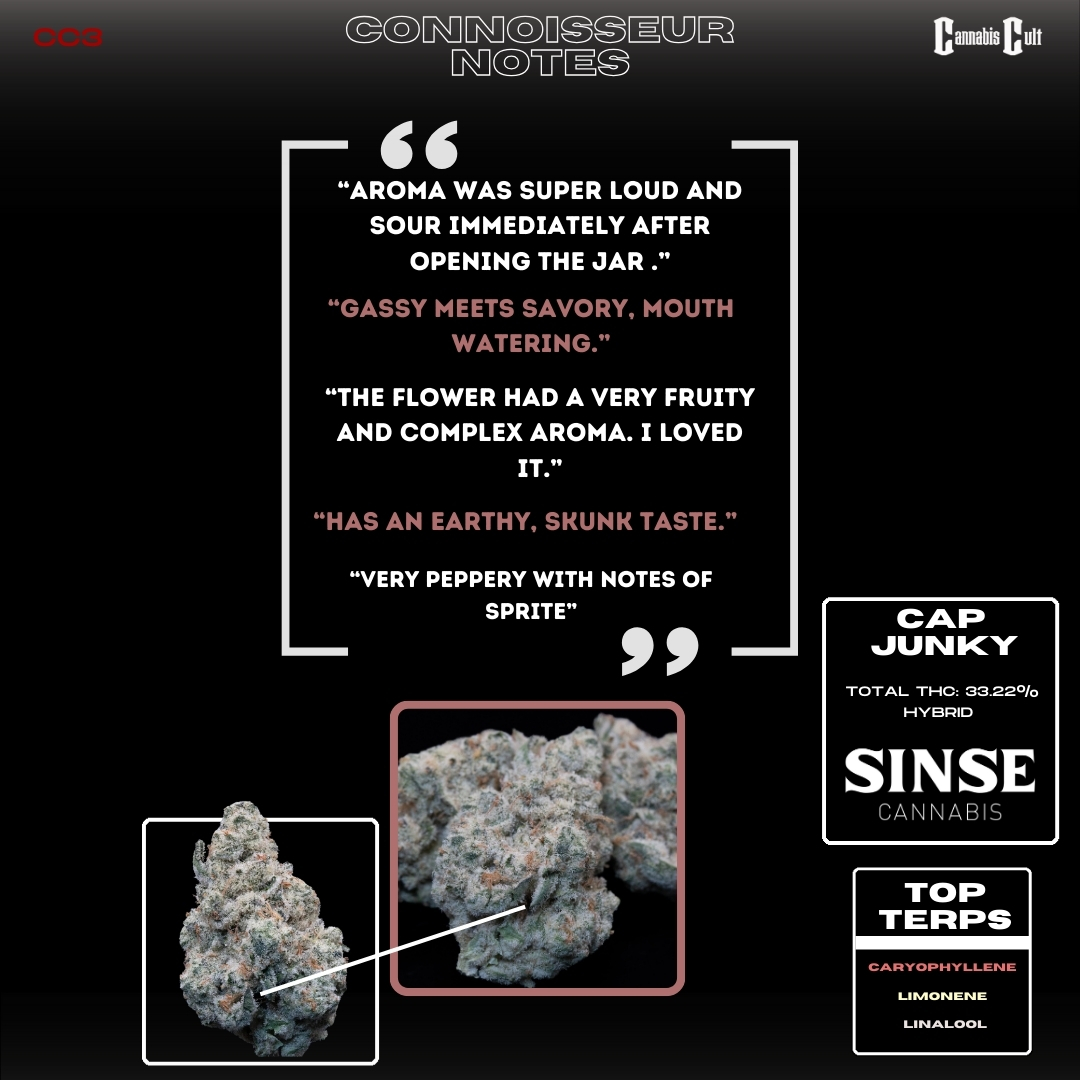 Sinse Cap Junky slide 2