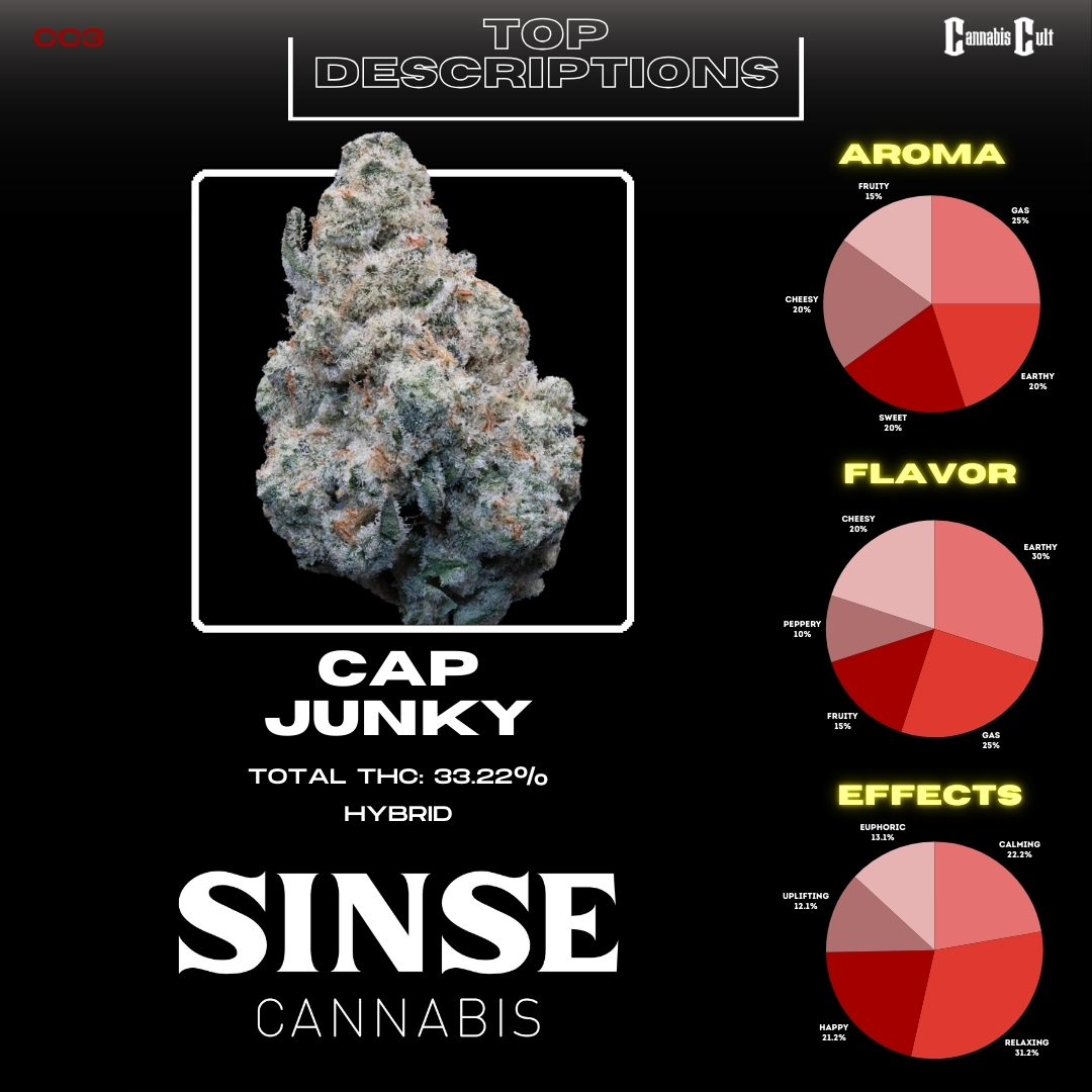 Sinse Cap Junky slide 3
