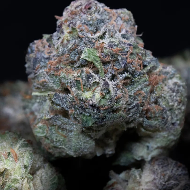 C4 Lemon Drip slide 1