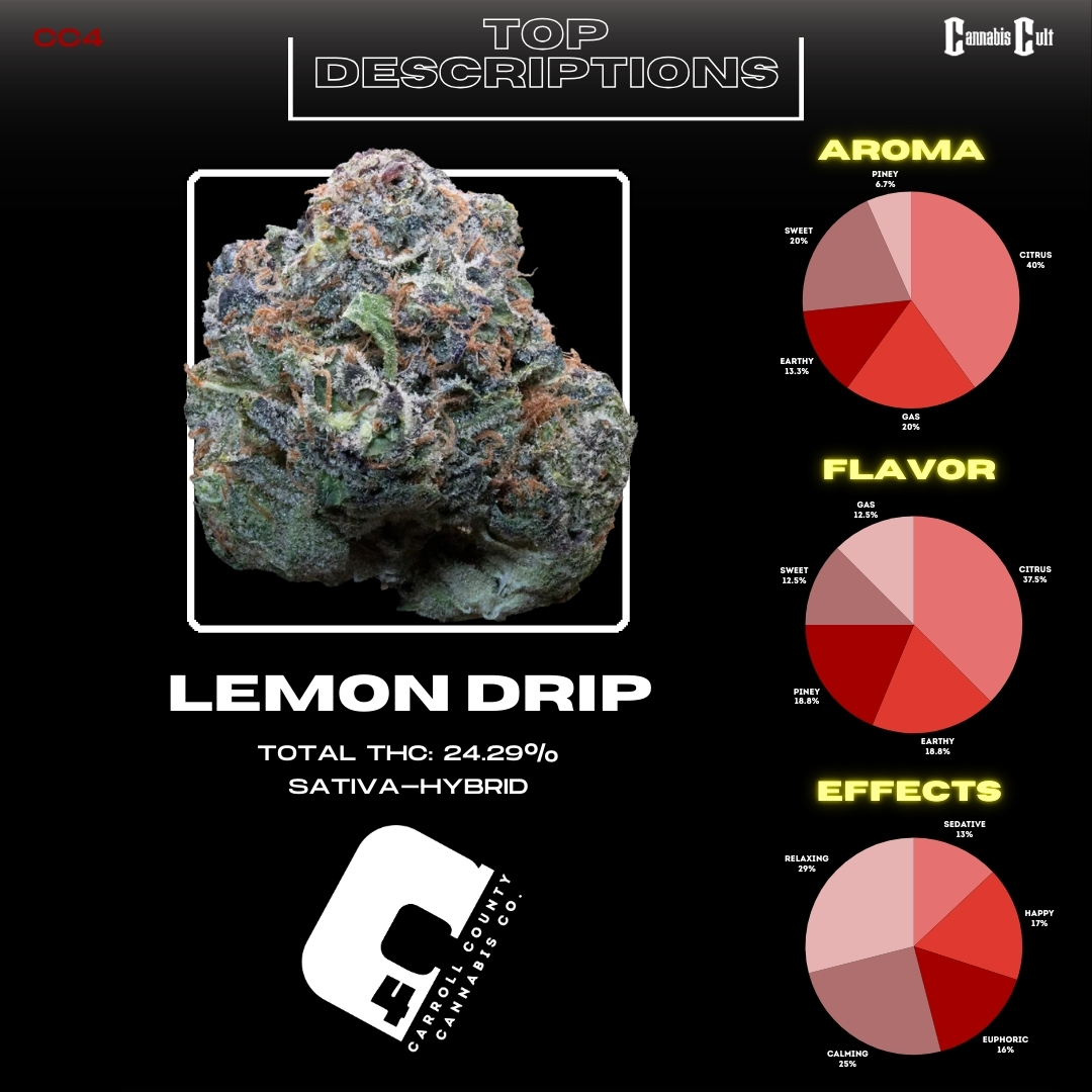 C4 Lemon Drip slide 3