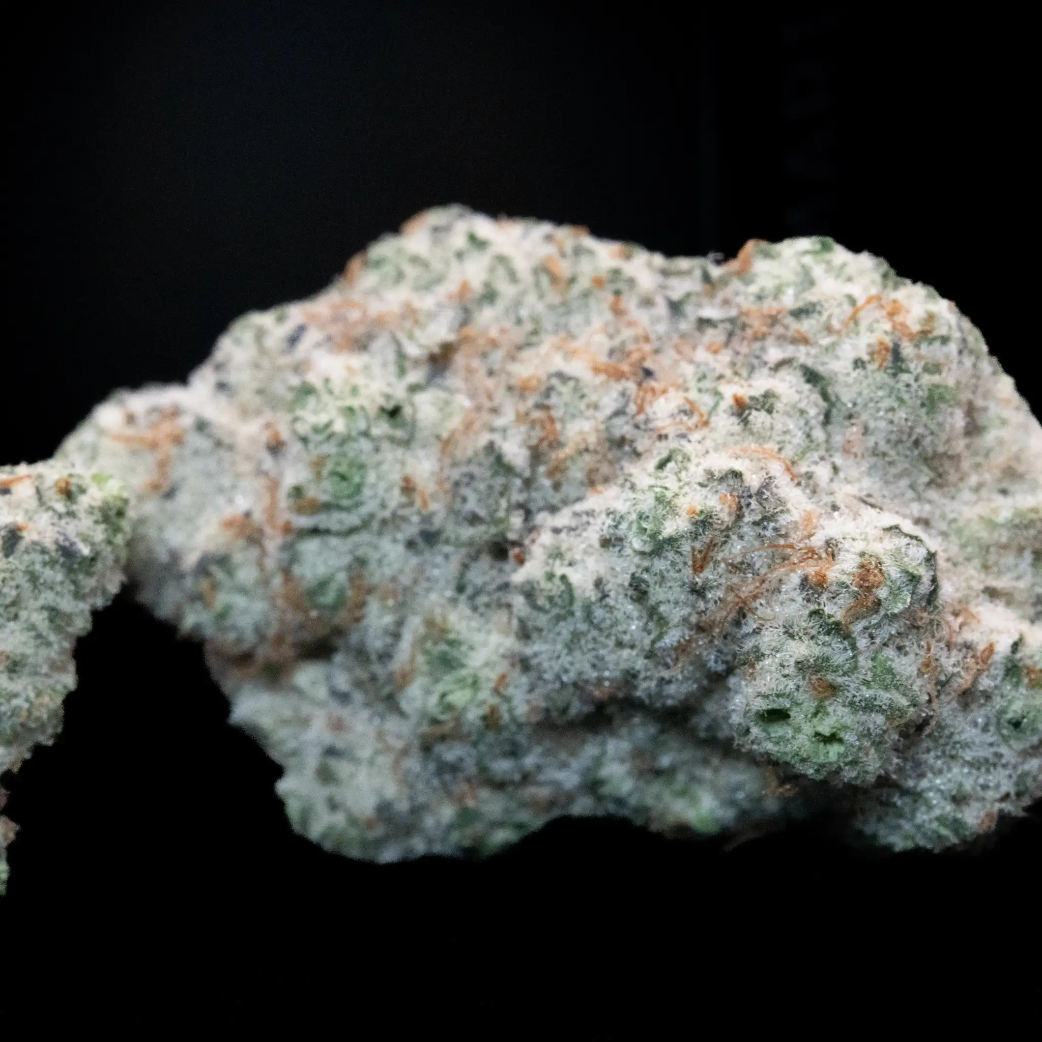 Sundro Lemon Oreoz slide 1