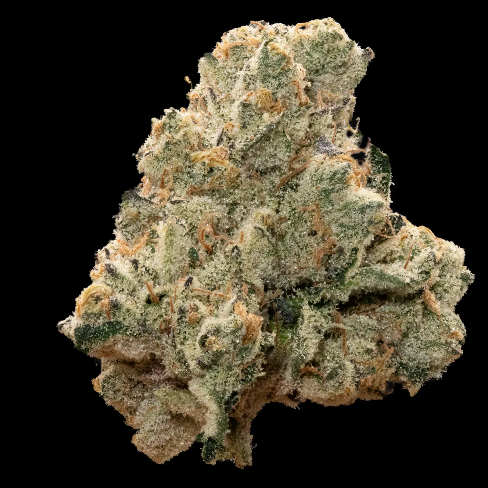 Notorious Coal Creek Kush slide 1