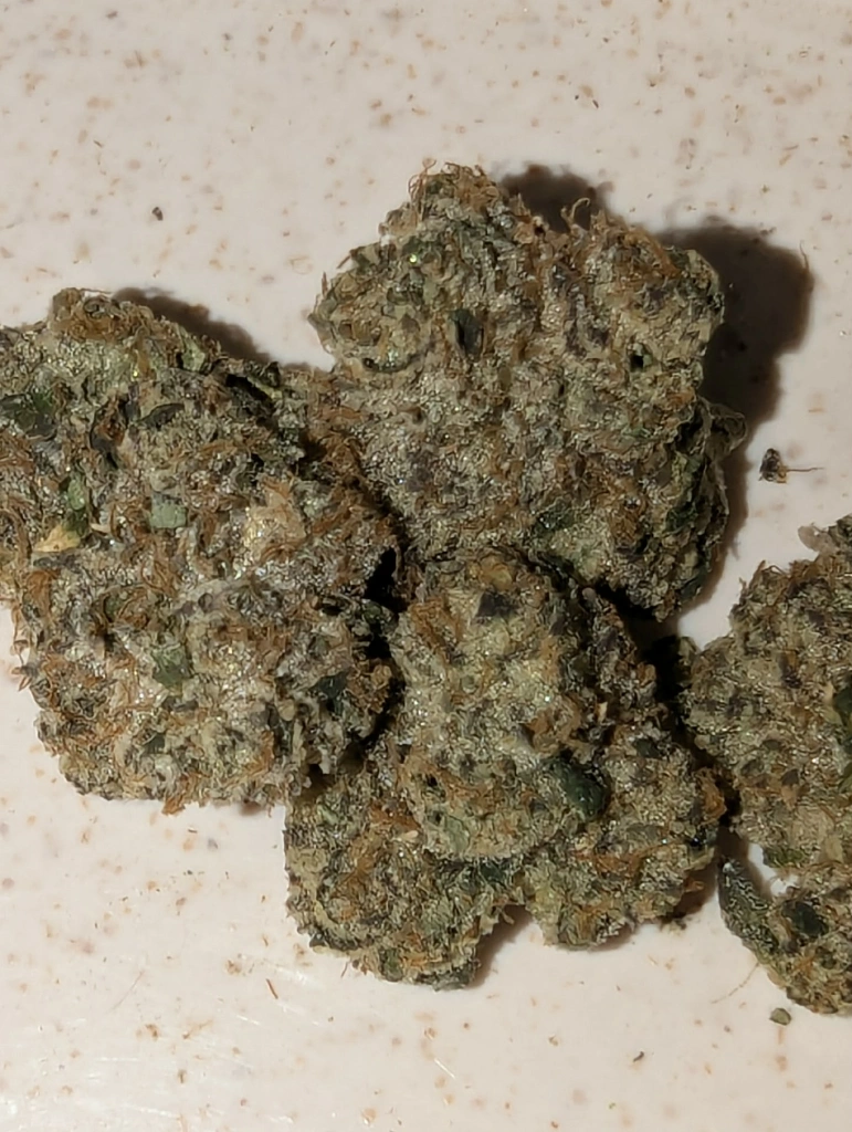 Local Cannabis Co RS11 slide 2