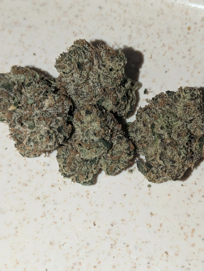 Local Cannabis Co RS11 slide 3