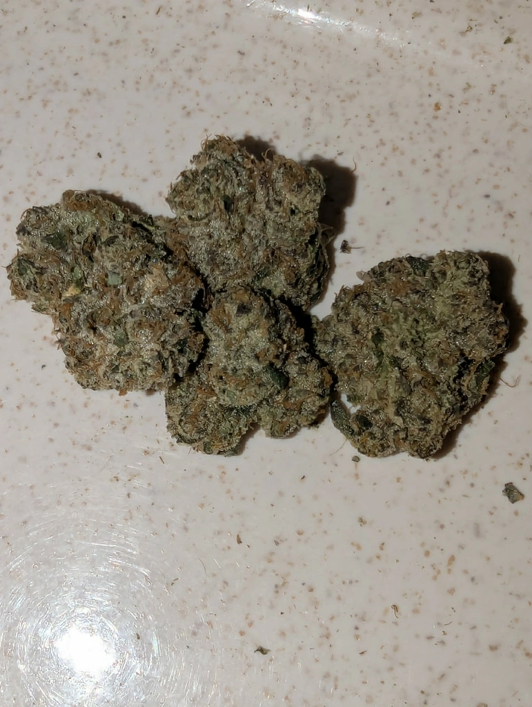 Local Cannabis Co RS11 slide 4