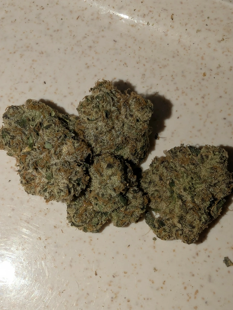 Local Cannabis Co RS11 slide 5