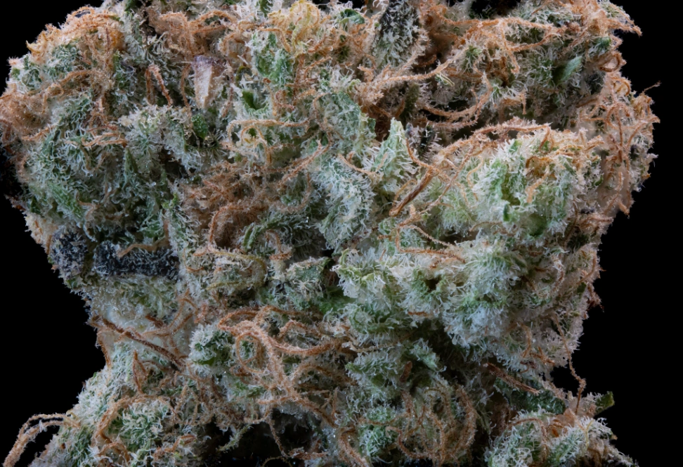 Vibe Peanut Butter Parfait slide 5