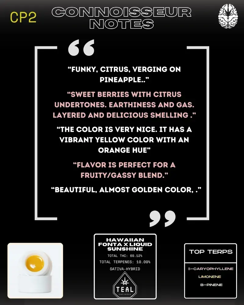 Teal Hawaiian Fonta x Liquid Sunshine slide 2