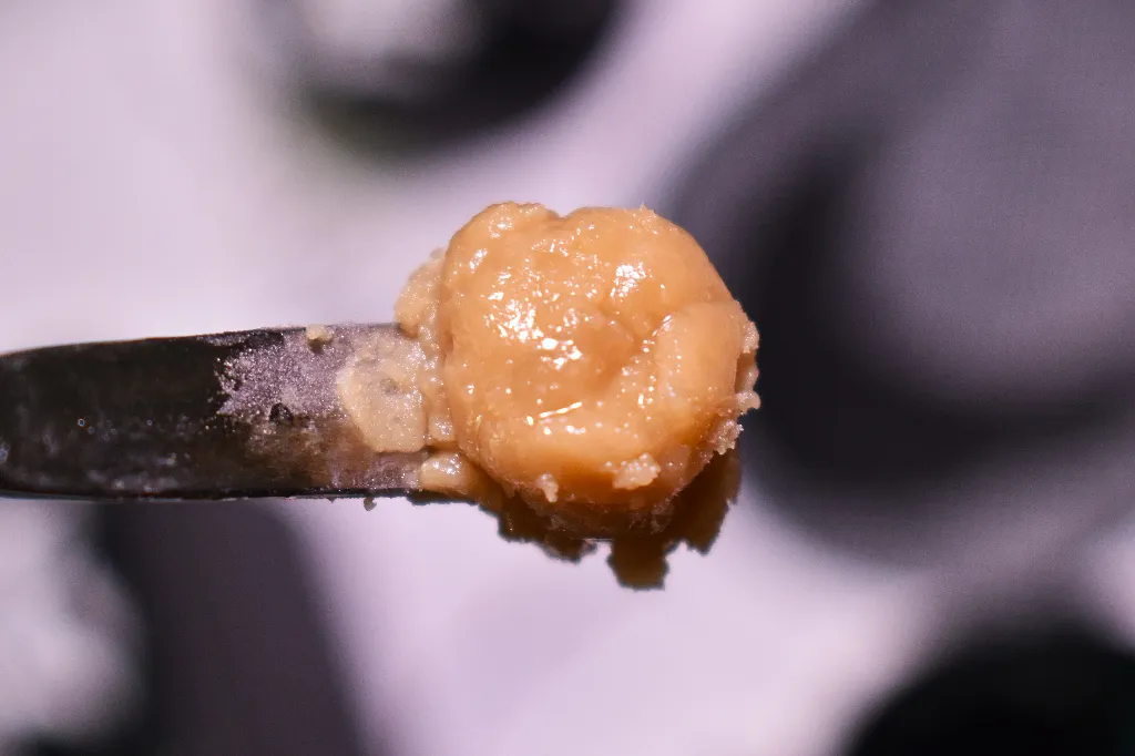 Ace Solventless Badger's Milk slide 4