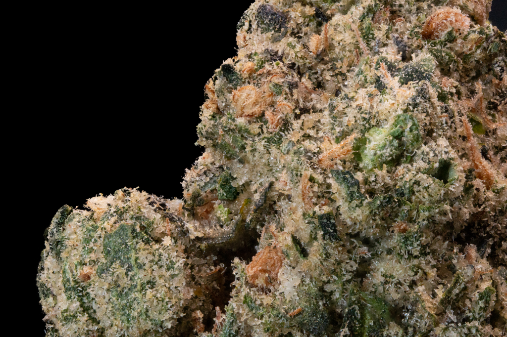 Robust Apples and Bananas 7 slide 5