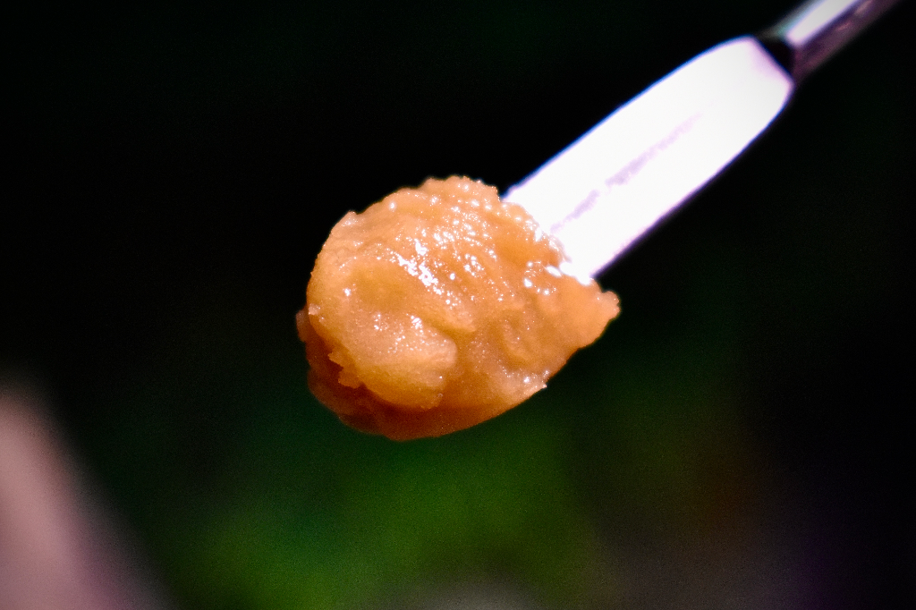 Local Zamosa slide 5