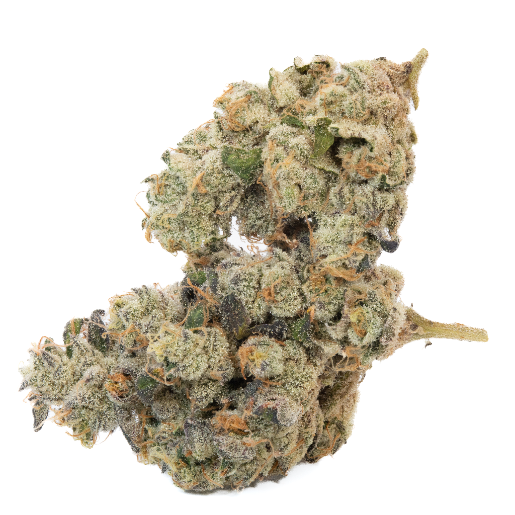 Notorious Permanent Gas #2 slide 1