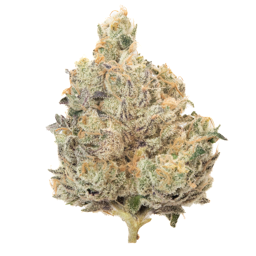 Notorious Permanent Gas #2 slide 2