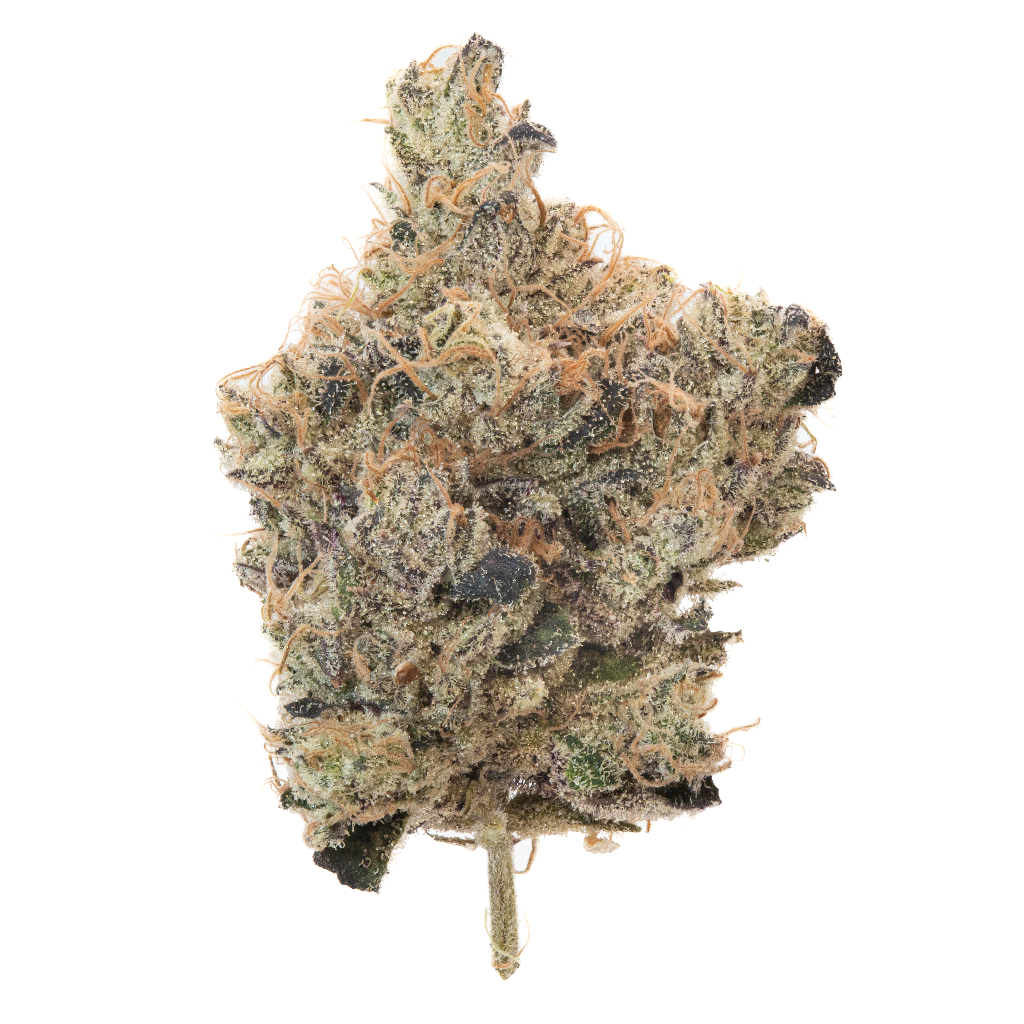 Notorious Permanent Gas #13  slide 1