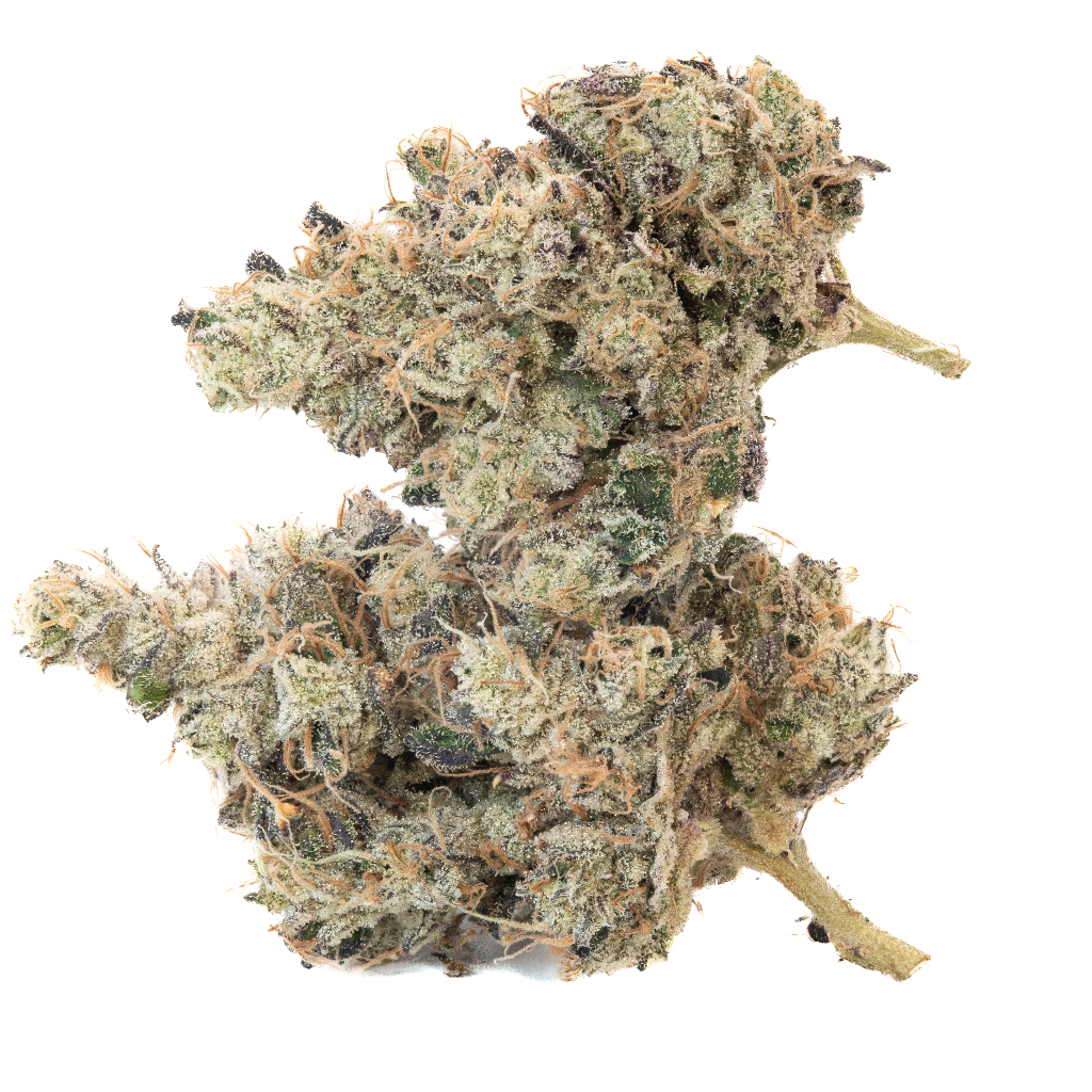 Notorious Permanent Gas #13  slide 2