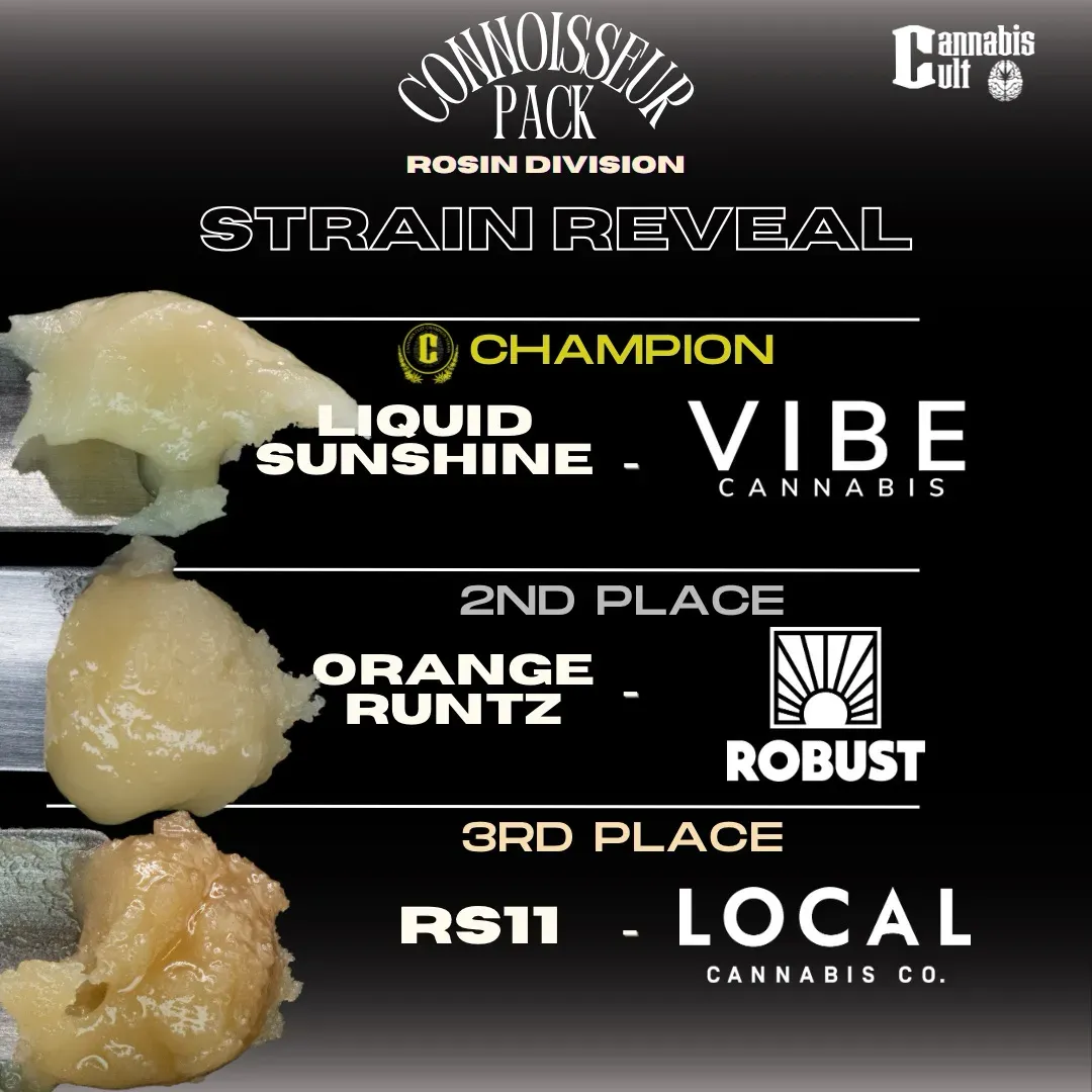 VIBE Liquid Sunshine slide 3