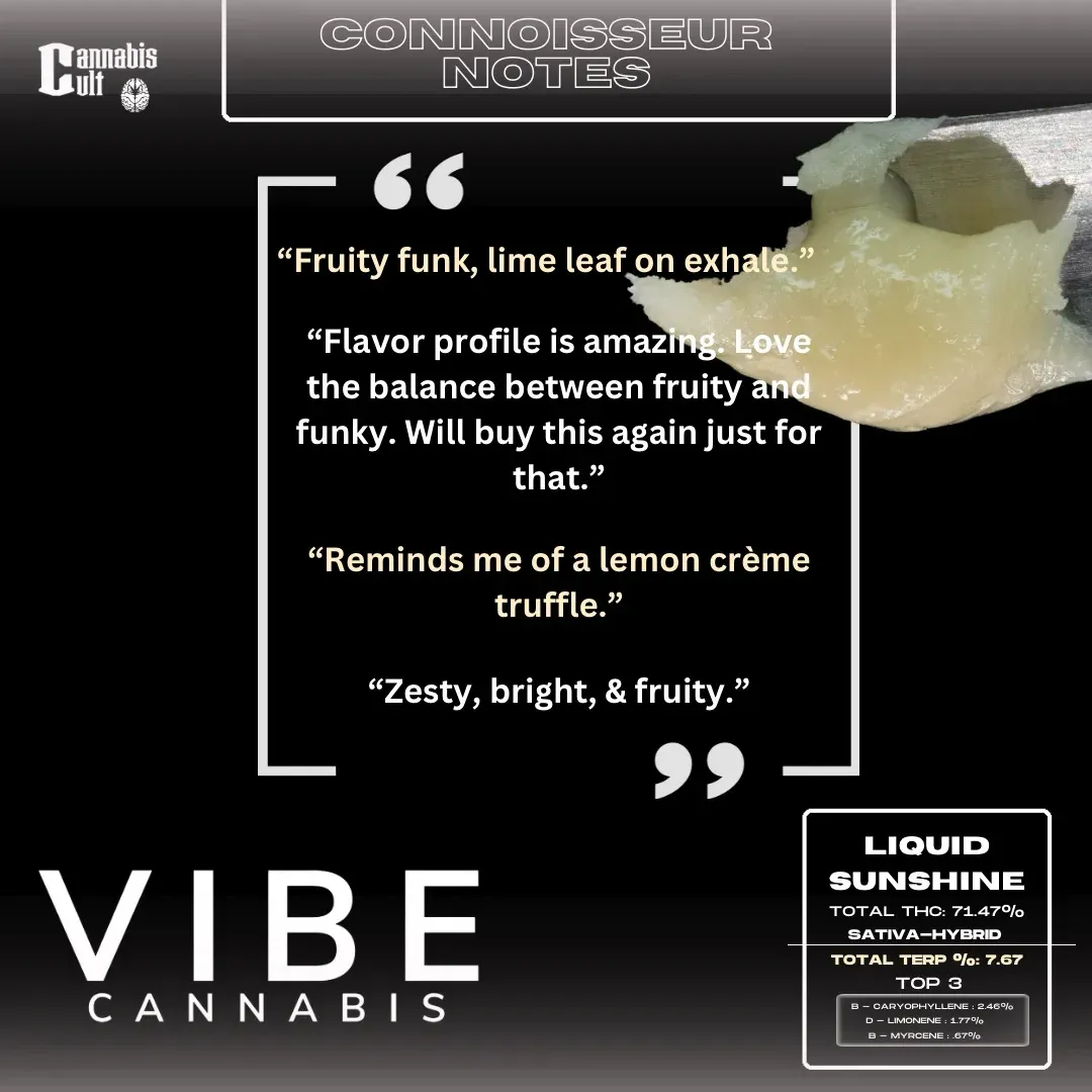 VIBE Liquid Sunshine slide 4