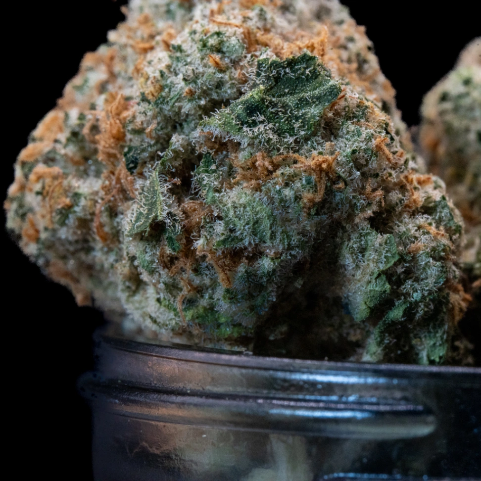 Peak Black Razberry slide 3