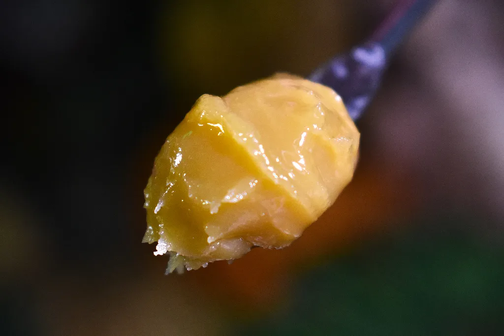VIBE Guava Tart slide 4