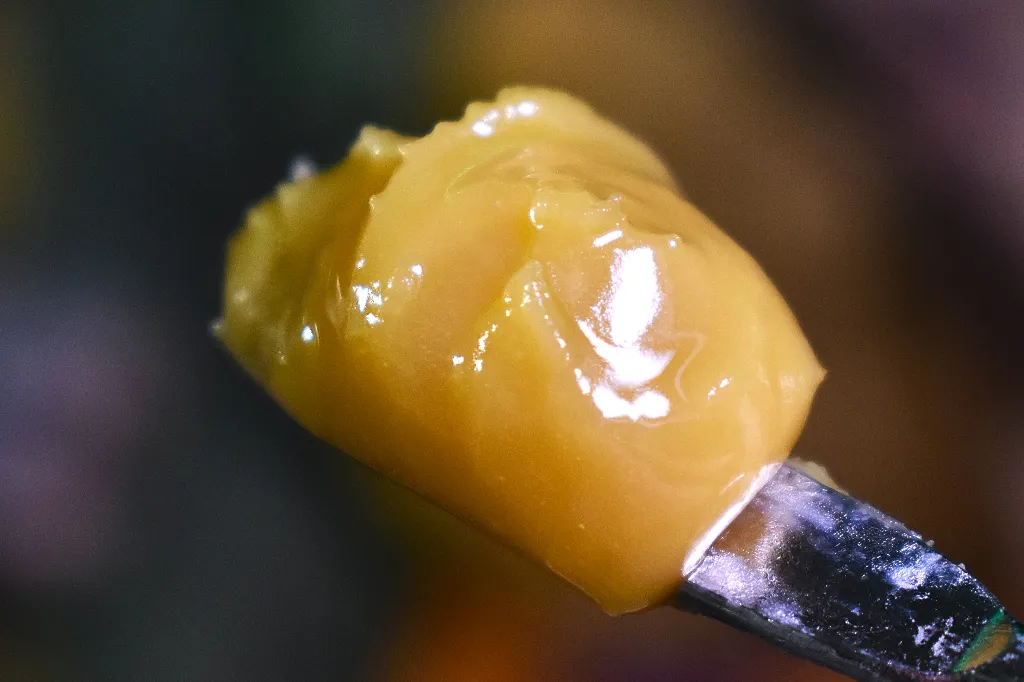 VIBE Guava Tart slide 5
