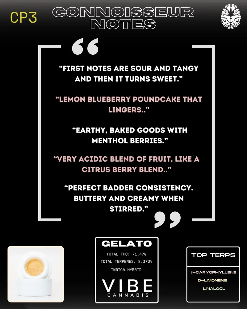 A graphic displaying connoisseur tasting notes for a cannabis product named Gelato. It highlights flavor profiles such as sour and sweet notes, lemon blueberry poundcake, earthy baked goods, and citrus berry blend. The image also includes information on total THC (71.47%), total terpenes (8.37%), and indicates it as an indica-hybrid from Vibe Cannabis, with top terpenes listed as beta-caryophyllene, d-limonene, and linalool.