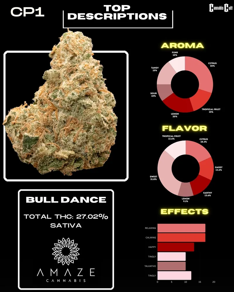 Detailed overview of the Bull Dance cannabis strain featuring tasting notes, aroma descriptions, and terpene profile. Highlights include a total THC of 27.02% and a vibrant, fruity flavor profile with hints of citrus and pine.