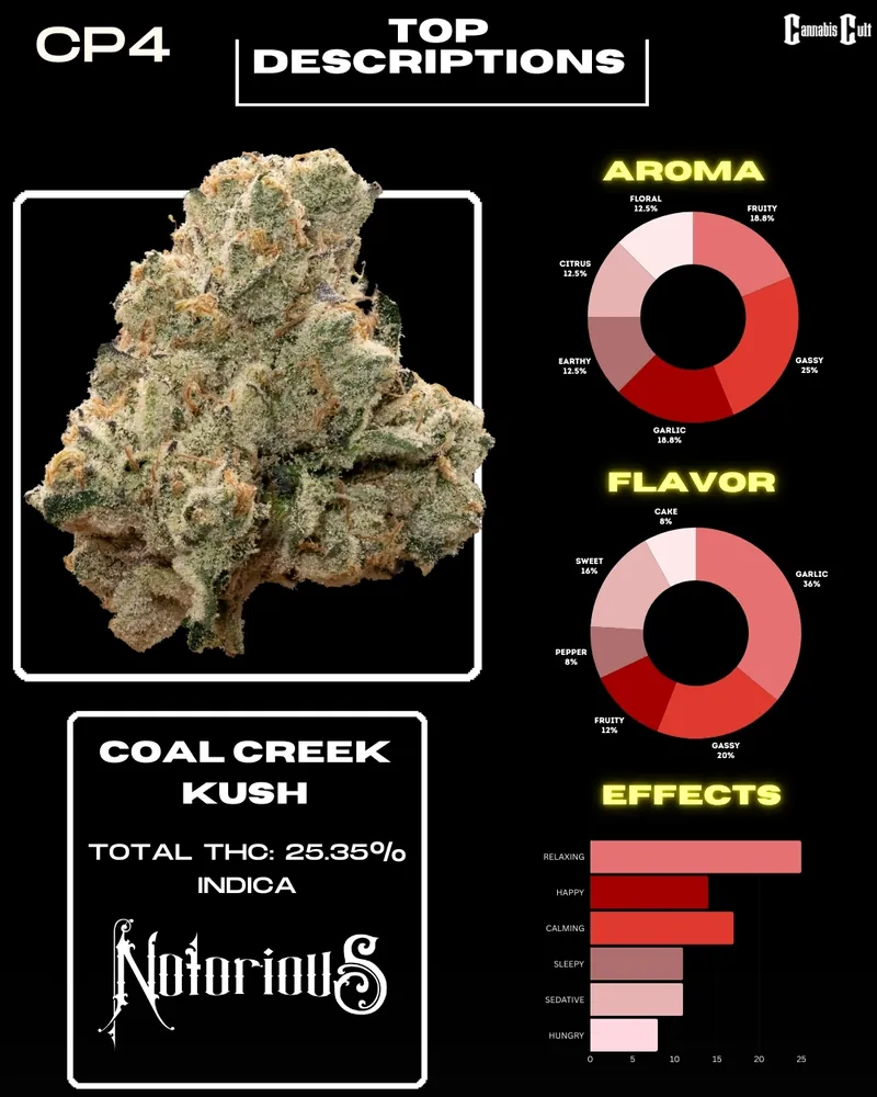 Close-up of a dense cannabis bud labeled 'Coal Creek Kush' with details including total THC content of 25.35%, indica strain classification, and descriptive charts showing aroma, flavor notes, and effects such as relaxing, happy, and calming.