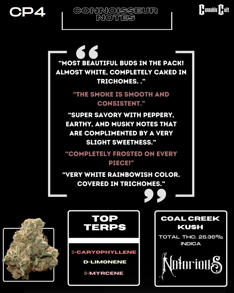 Detailed description of Coal Creek Kush, an indica strain with a total THC content of 25.35%. Highlights connoisseur notes praising its appearance, smooth smoke, and savory flavor profile with earthy, musky, and sweet notes. Lists top terpenes: B-Caryophyllene, D-Limonene, and B-Myrcene.