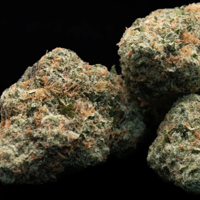 Peach Crescendo by Cloud Cover
