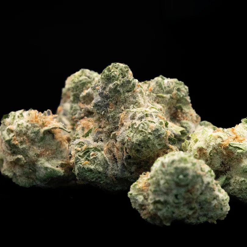 Tahiti Lime by Robust