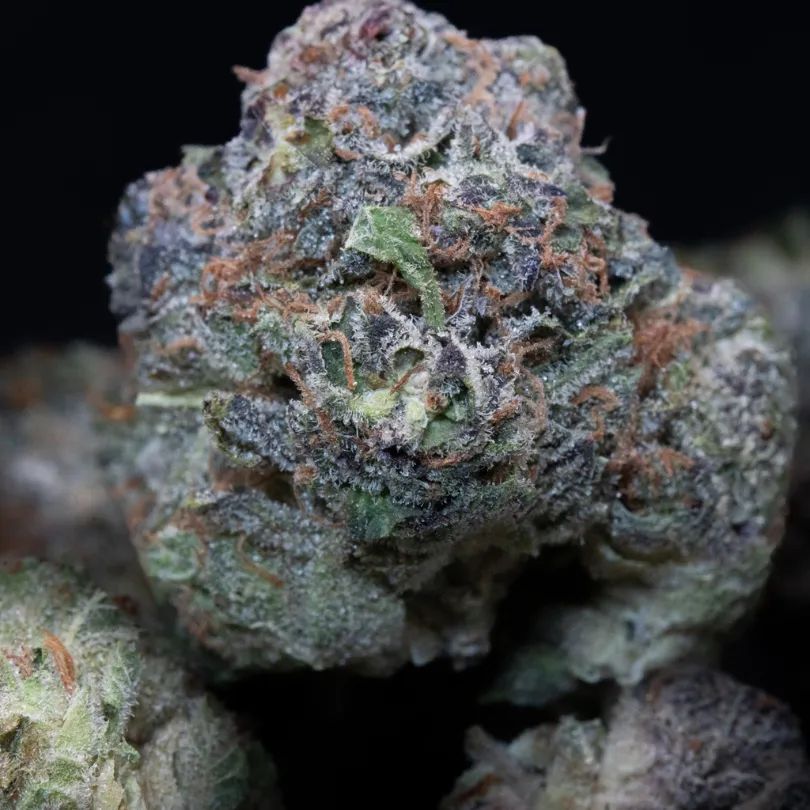 Lemon Drip by C4