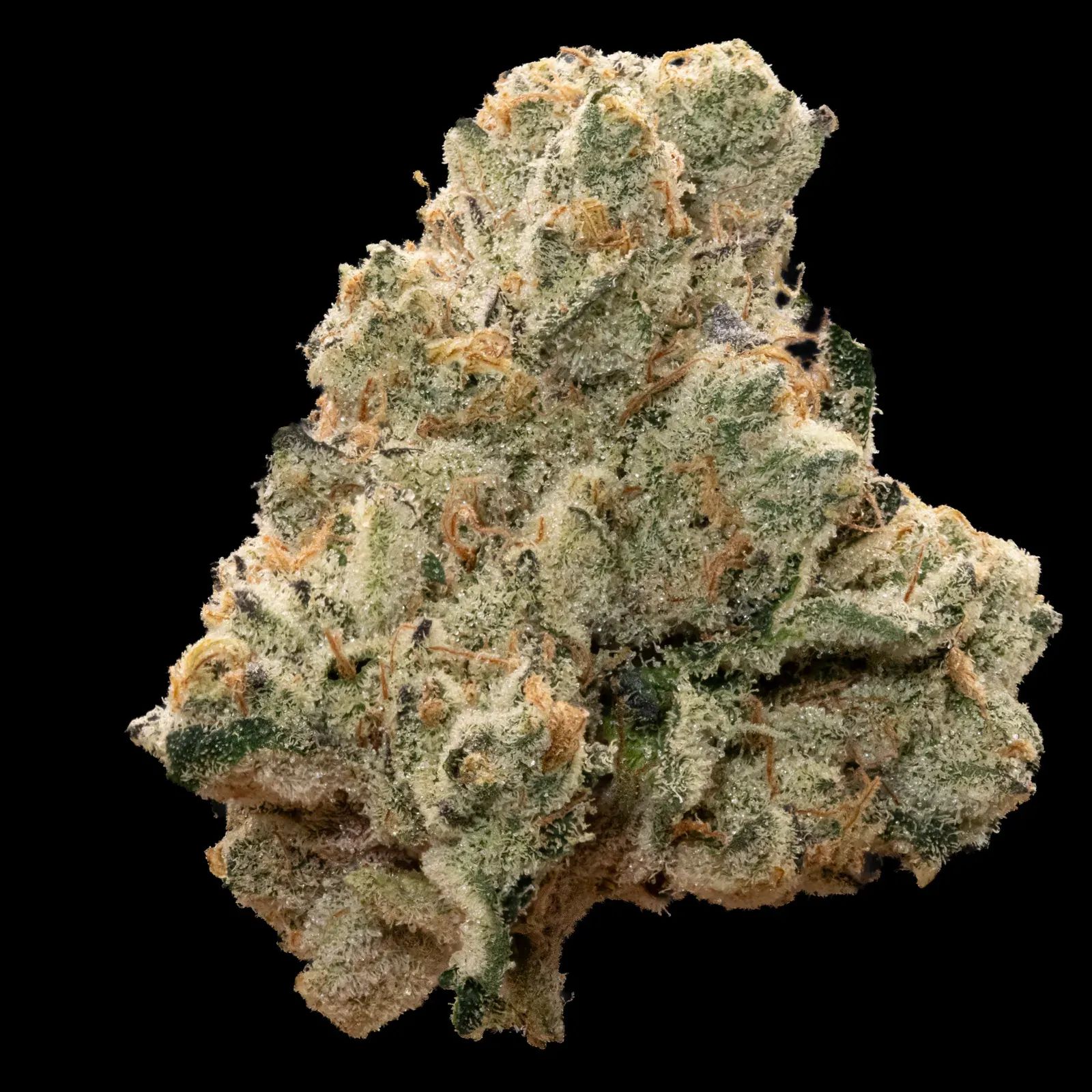 Coal Creek Kush by Notorious
