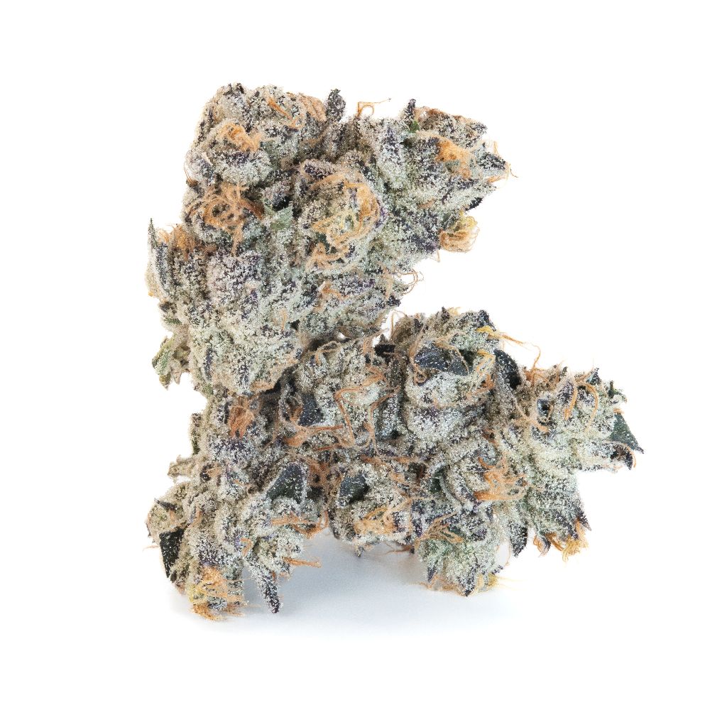 Black Maple by Notorious