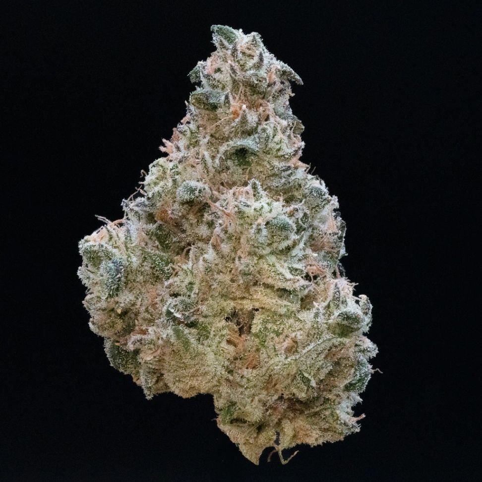 Showtime by Farmer G