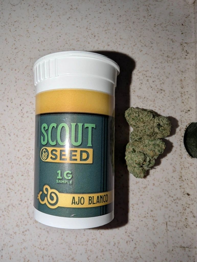 Ajo Blanco by Scout & Seed