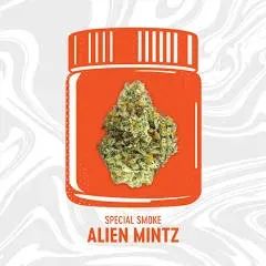 Alien Mintz by Vivid