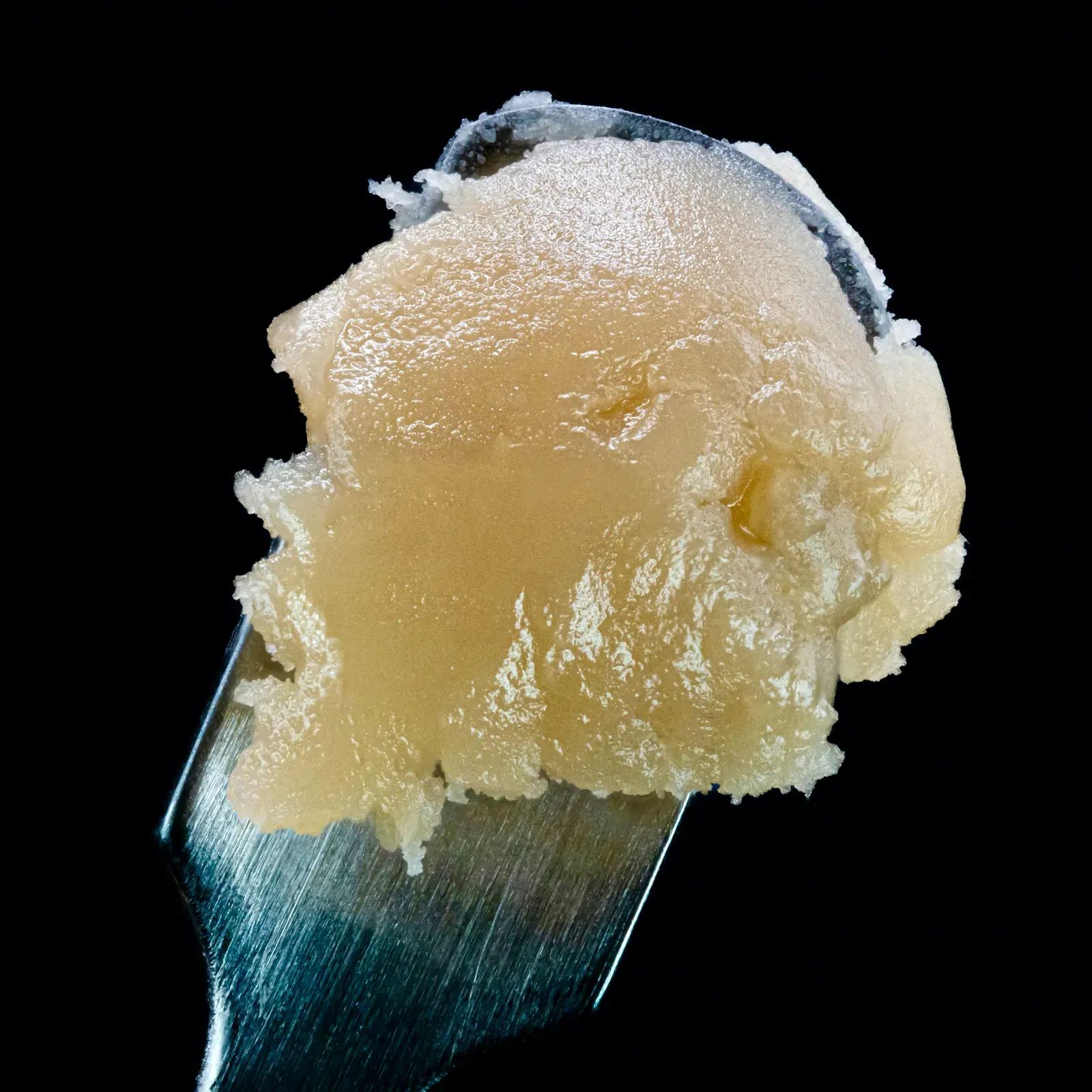 Gastro Pop by VIBE